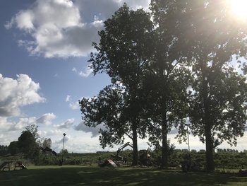 Tijdens de werkzaamheden Bomen weg 1