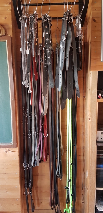 Riemen, jachtlijnen en halsbanden Riemen